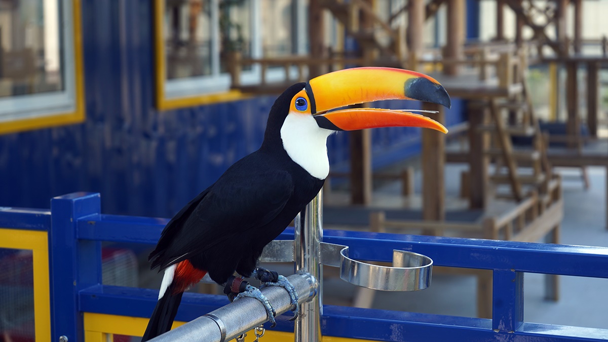 最低50元玩整天！2023新開幕６家「親子農場」：近距離餵水豚、１日小小蔥農