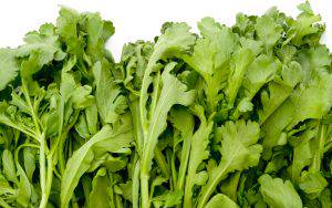 火鍋必吃打某菜！茼蒿5大好處報您知