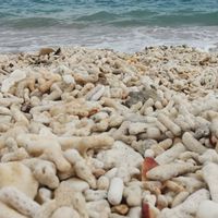旅澎~在地旅行推薦及規劃