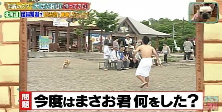 何問正解できる ポチたま の人気旅犬 まさお君の爆笑ハプニングクイズに挑戦 どうぶつピース