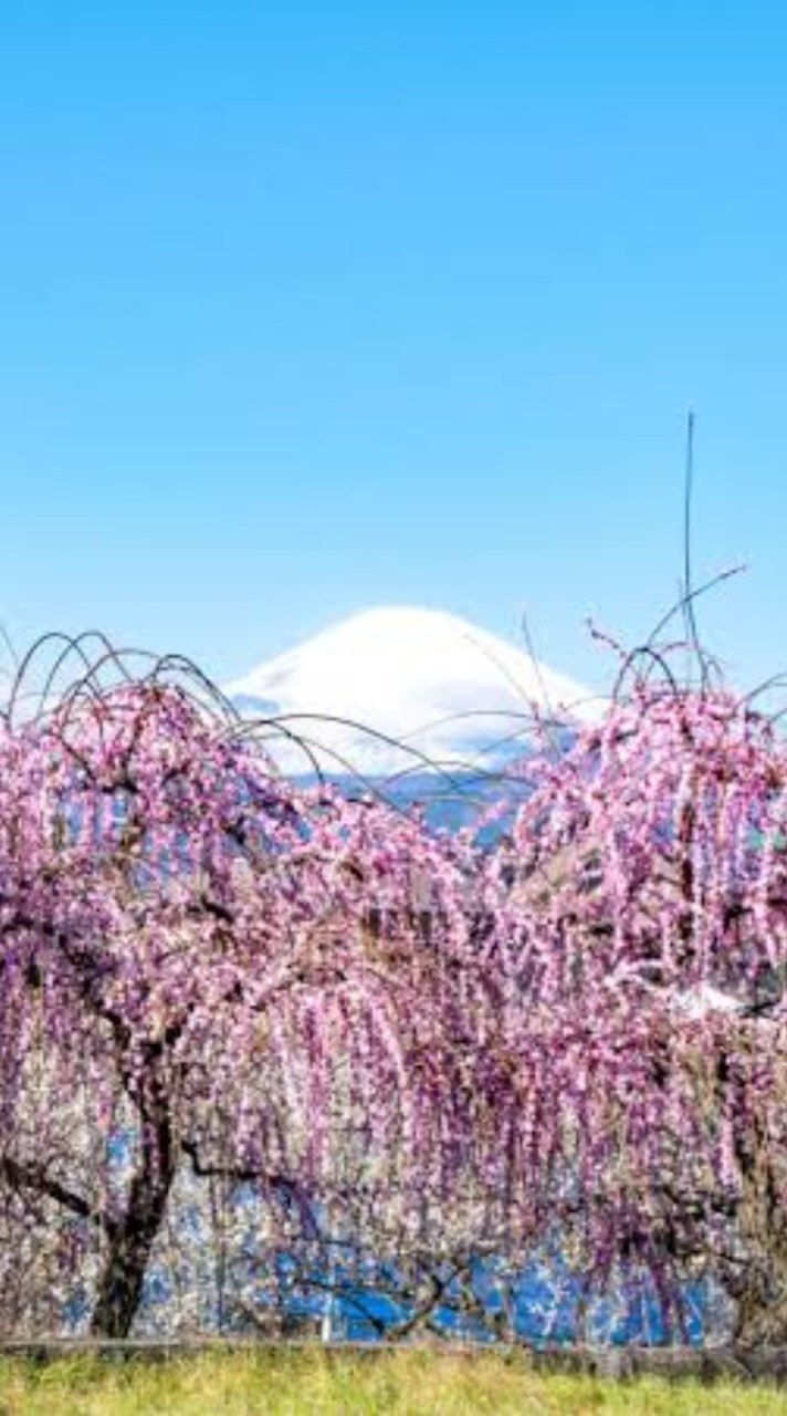 生活保護相談所
