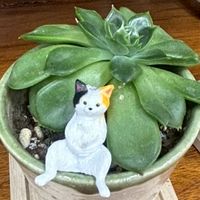 介護の部屋…CAREIy🍀24H👍
