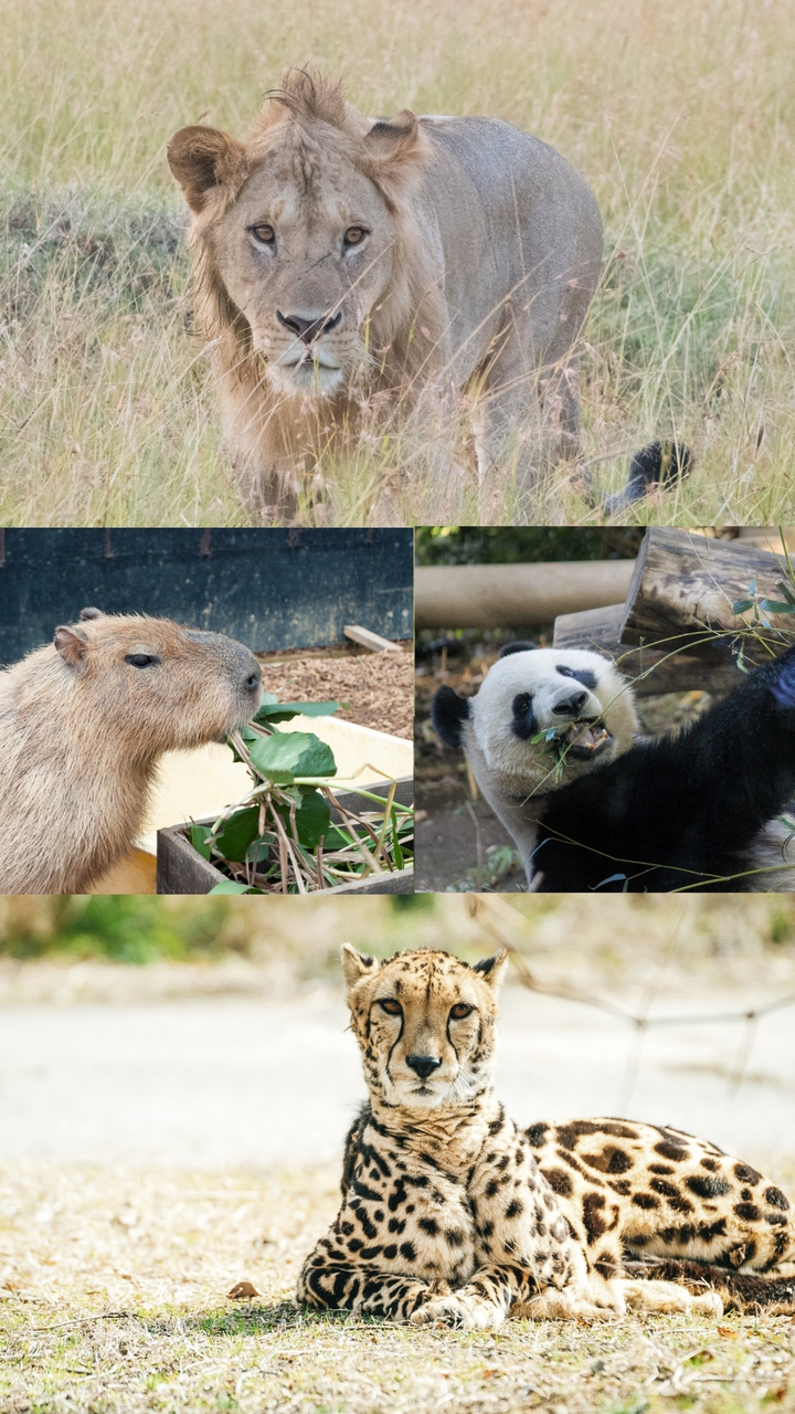 188動物園