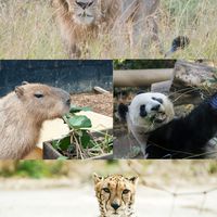 188動物園