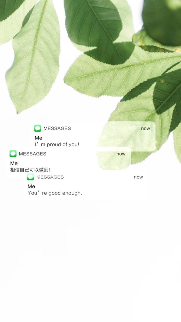 ☘️長大後的不惑人生🍀