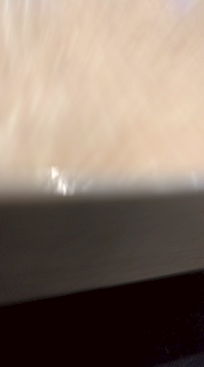 フォトナエンジョイ勢の集まり