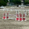 第46回北信越ブロック馬術競技