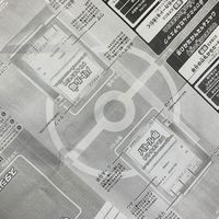 114黌理寶可夢夏令營