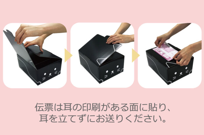 宅急便貓咪紙箱