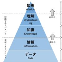 知識を共有し解像度を上げる部屋　政治経済　一般教養　軍事　哲学　科学