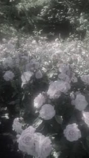 全緩 なりきり ！！