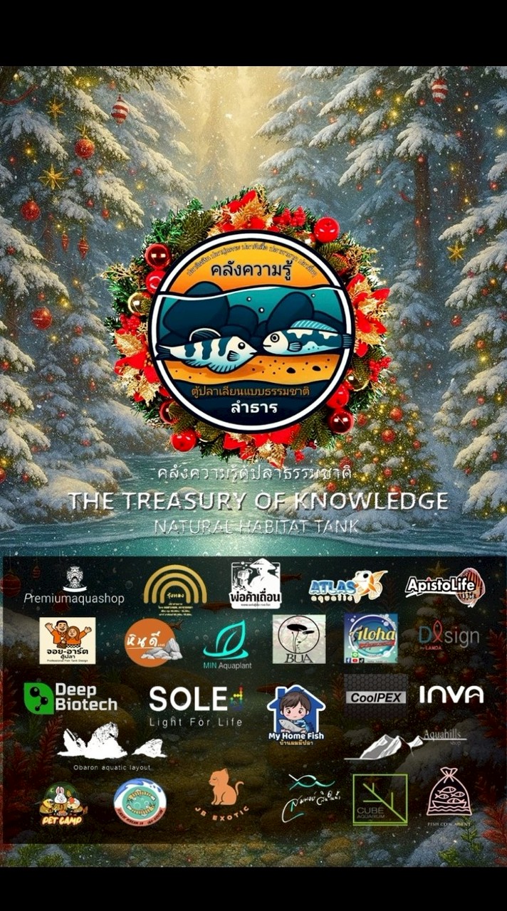 24/7 คลังความรู้ตู้ปลาธรรมชาติ