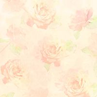 🌷筱白精品翡翠珠寶🌷