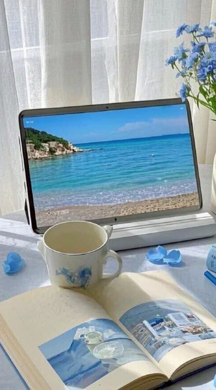 🫧✨與燕共星✨🫧-聊天/追劇、追星/處關係/【免宣柺】