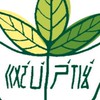❤️114學年度國語實小家代群❤️