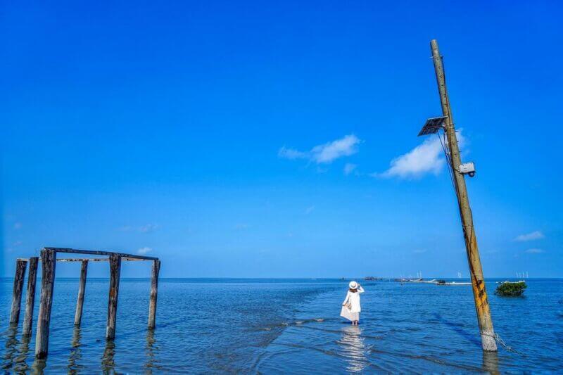 彰化芳苑濕地海空步道