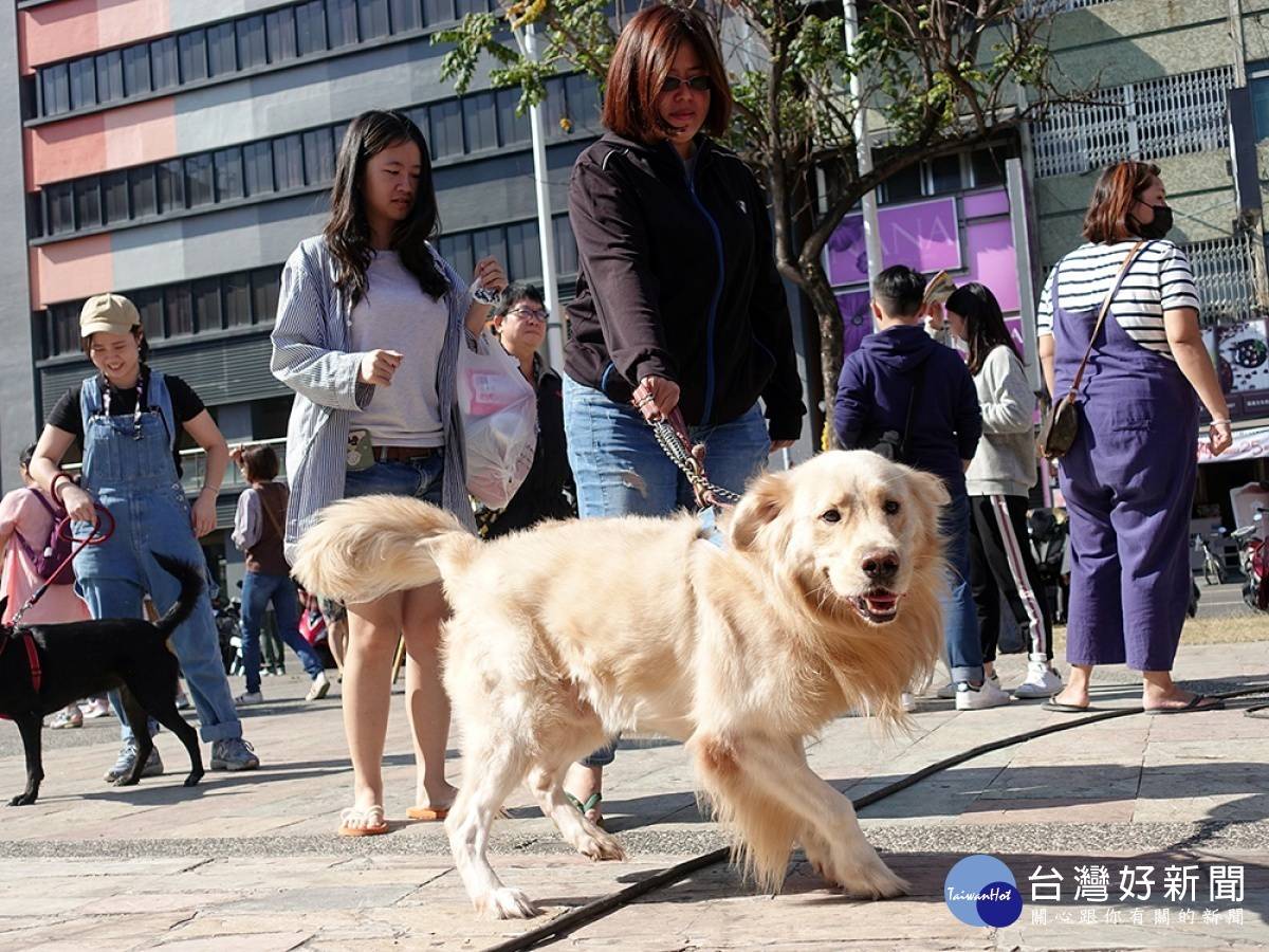 嘉市家犬貓絕育補助跑即日起開跑至11 25止 台灣好新聞 Line Today