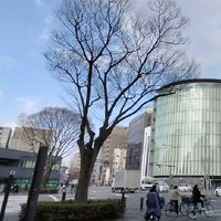 烏丸通あかりLAB