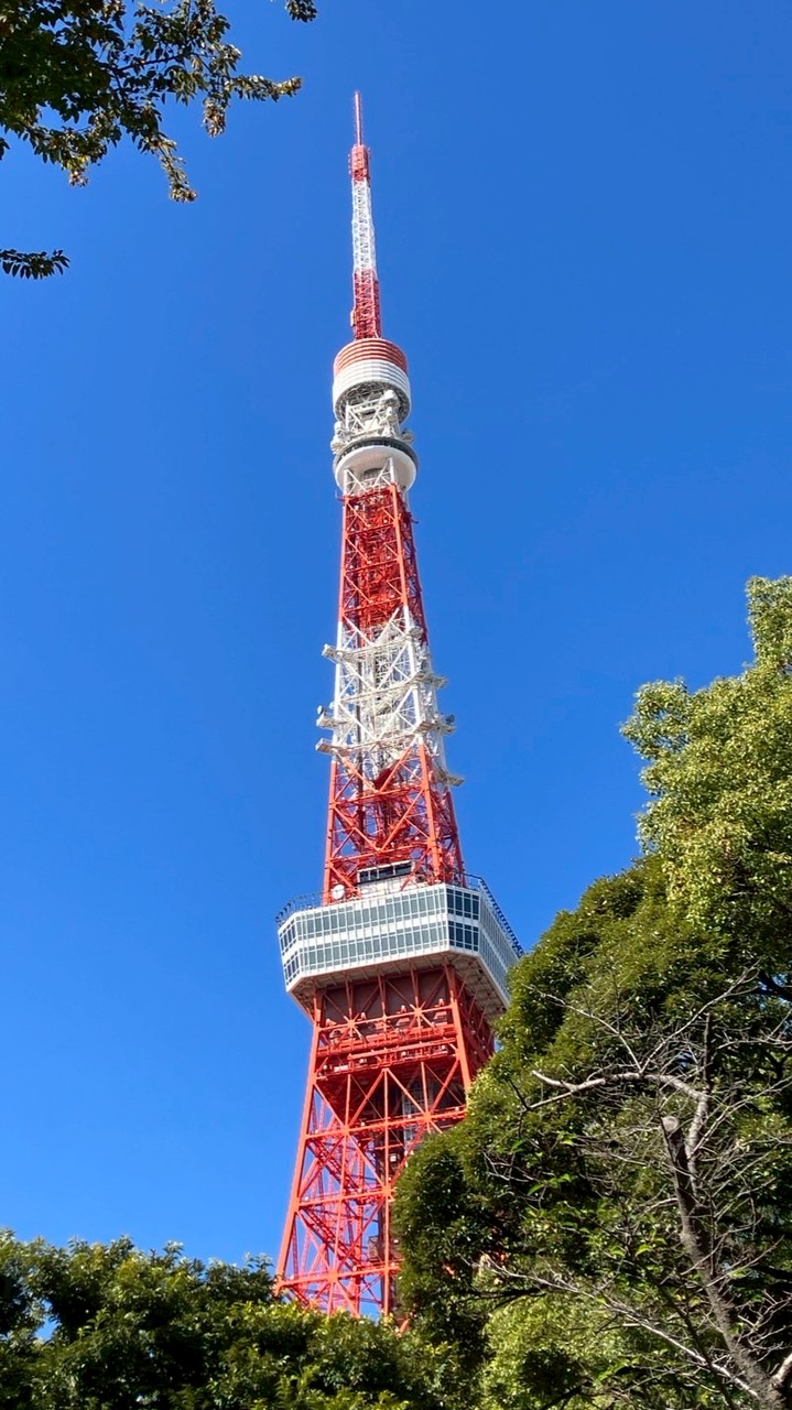 東京近郊🗼【土日限定】ランチ🍽️&カフェ☕️・街歩き・御朱印