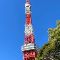 東京近郊🗼【土日限定】ランチ🍽️&カフェ☕️・街歩き・御朱印