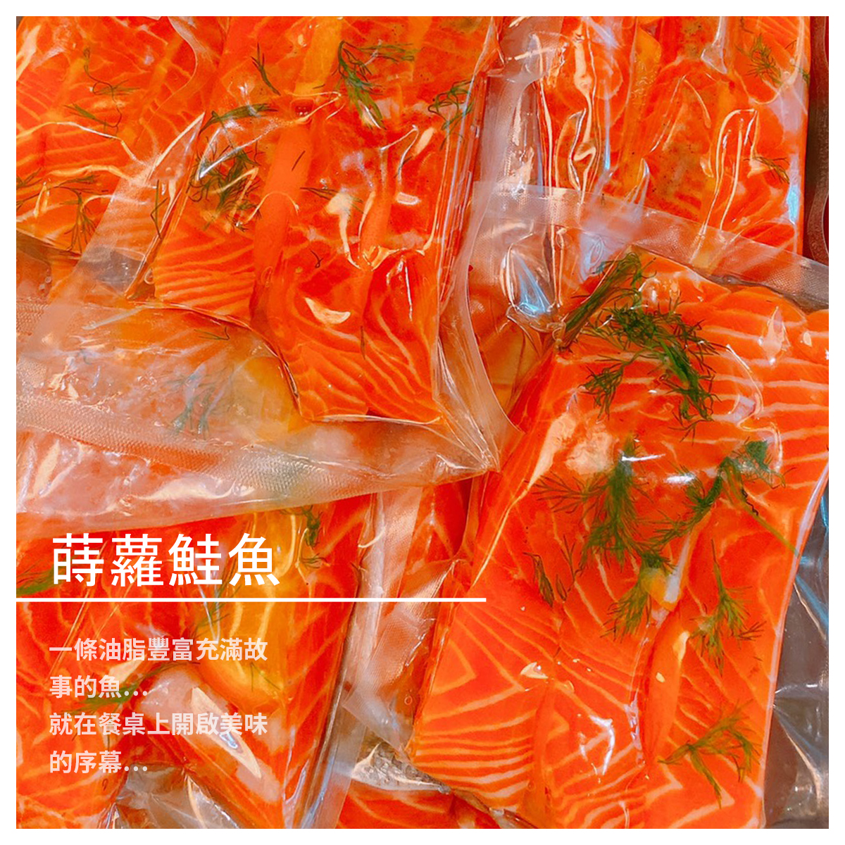 蒔蘿鮭魚 ➤蒔蘿鮭魚 一條油脂豐富充滿故事的魚 就在餐桌上開啟美味的序幕… 每日現流新鮮鮭魚 經由主廚巧手去除所有魚刺後 醃製清爽的蒔蘿和檸檬 再以低溫舒肥的方式 鎖住鮭魚的鮮味和甜度 絕妙的搭配讓人