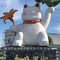 太麻里大小事