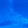 厳格顔採点オプチャ