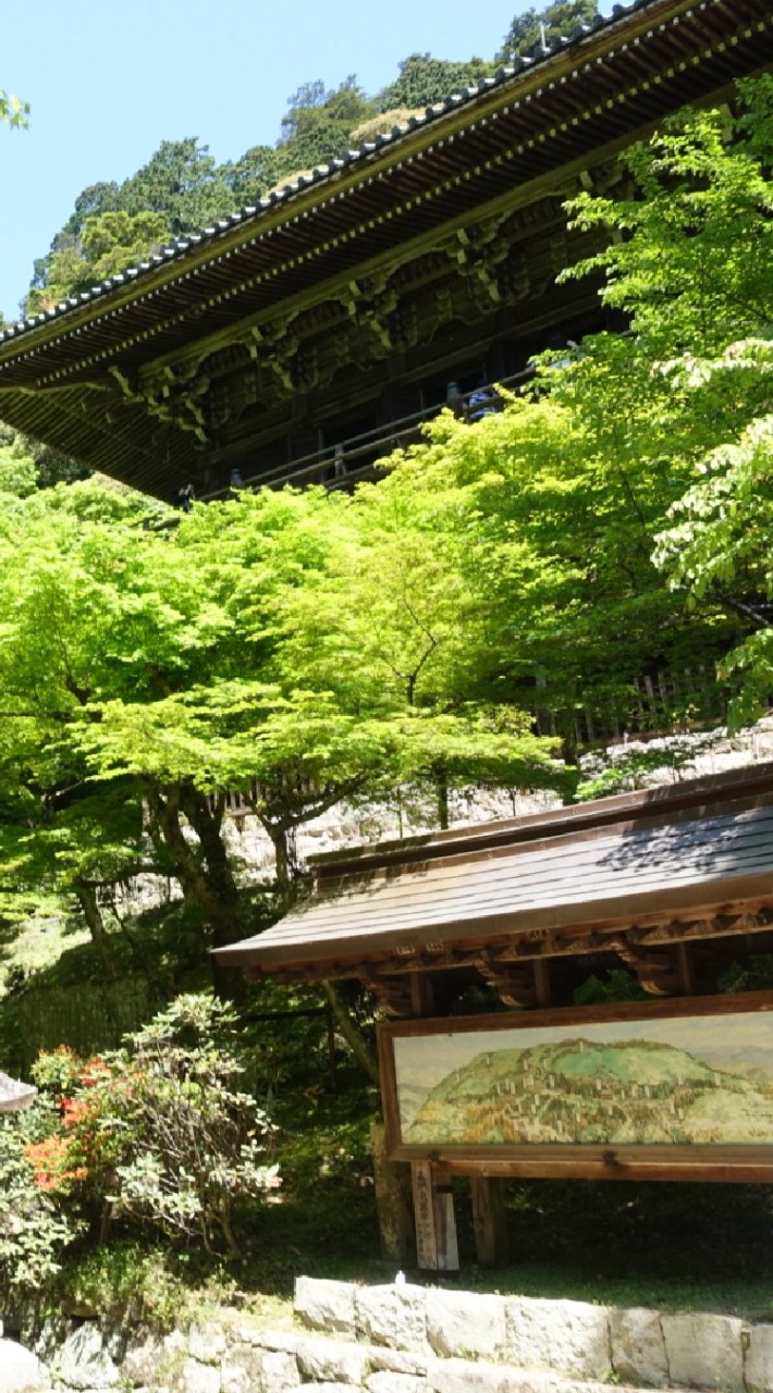 戦国🏯幕末🎩寺社仏閣が好きな30代40代独身歴女の集い🌹のオープンチャット