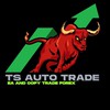 TS AUTO TRADE