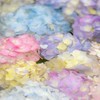 適応障害で闘病中の方・休職中の方の部屋🧸🎀