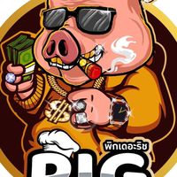Pig the rich