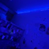 ギャルやりらのひとかモーン