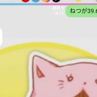 ちろぴの4