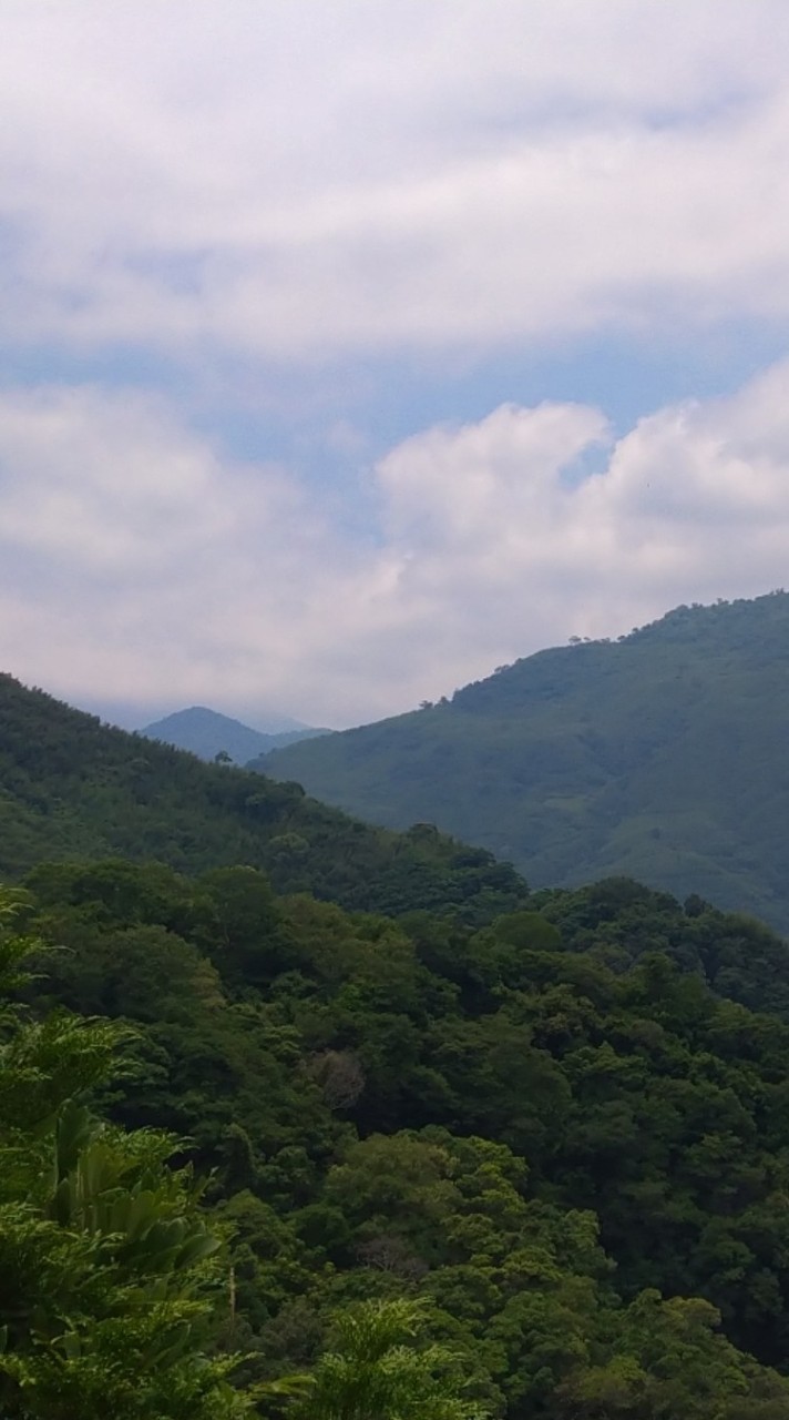 國中會考討論群 (免錢線上家教)