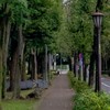 東京都立城北中央公園で汗を流している人！話しませんか？