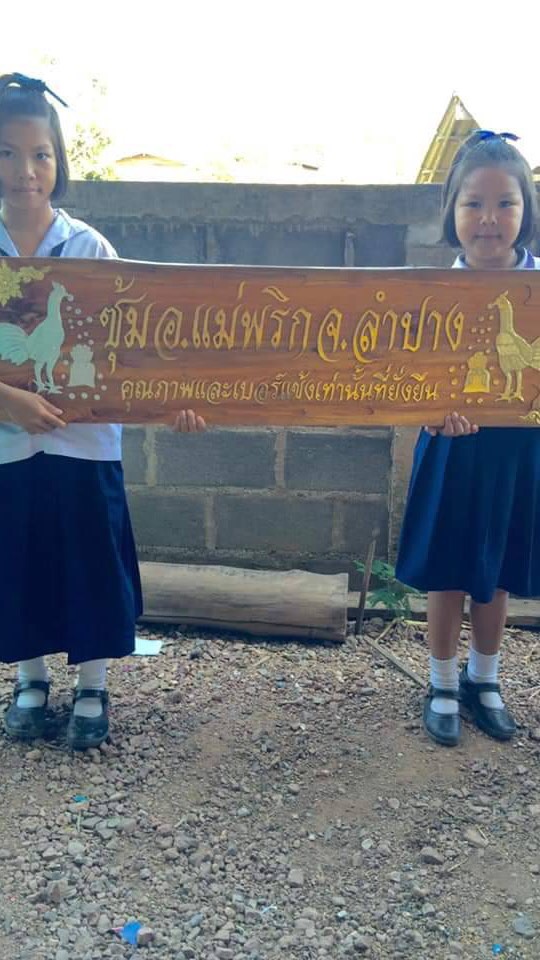กลุ่มรักไก่ชนสายเยียร์
