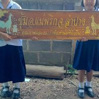 กลุ่มรักไก่ชนสายเยียร์