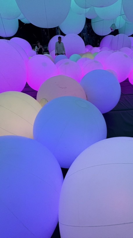 出遊的相片影片都在這