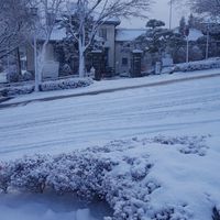 泰仔優質水果