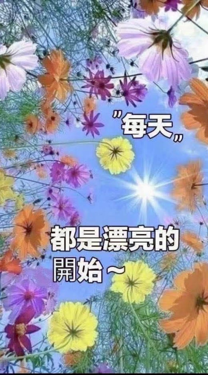 收藏影片
