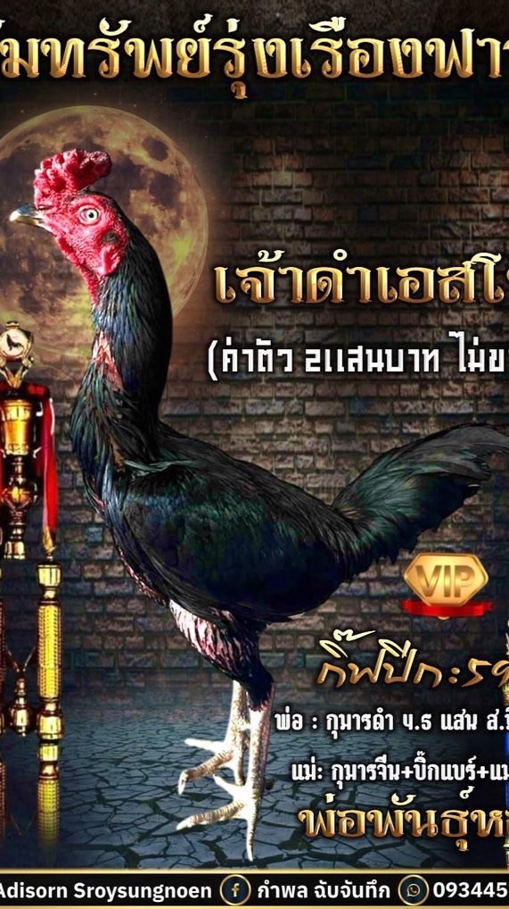 ทรัพย์รุ่งเรืองฟาร์ม