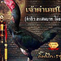 ทรัพย์รุ่งเรืองฟาร์ม