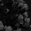 人生論 ✧ 壁打ち全緩也