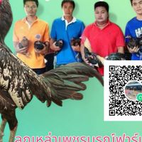 ซุ้ม ส.สมเจต สุพรรณบุรี