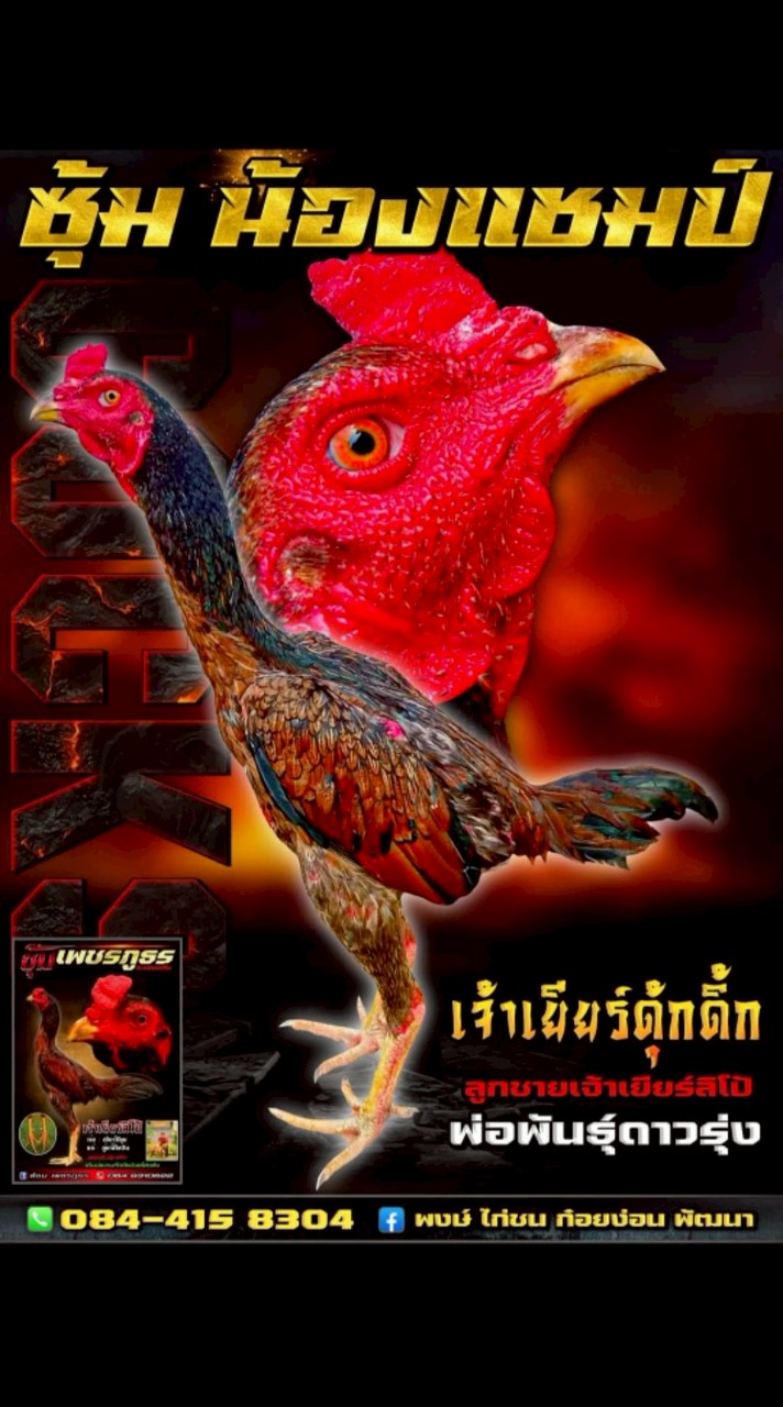ซุ้ม หลานปู่999 ก๋อยเยียร์พัฒนา
