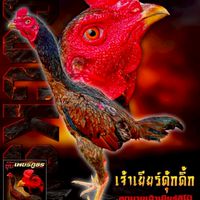 ซุ้ม หลานปู่999 ก๋อยเยียร์พัฒนา