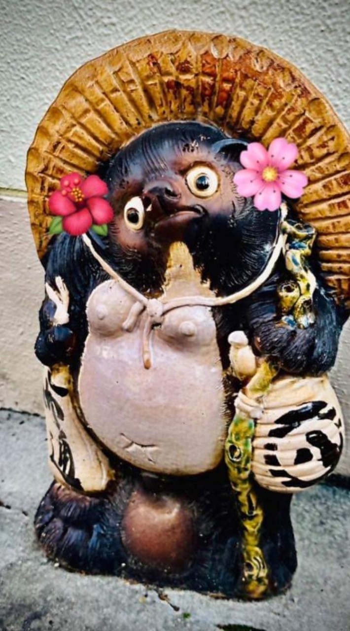 🛑🎍JpAP cactus 🇯🇵🛑