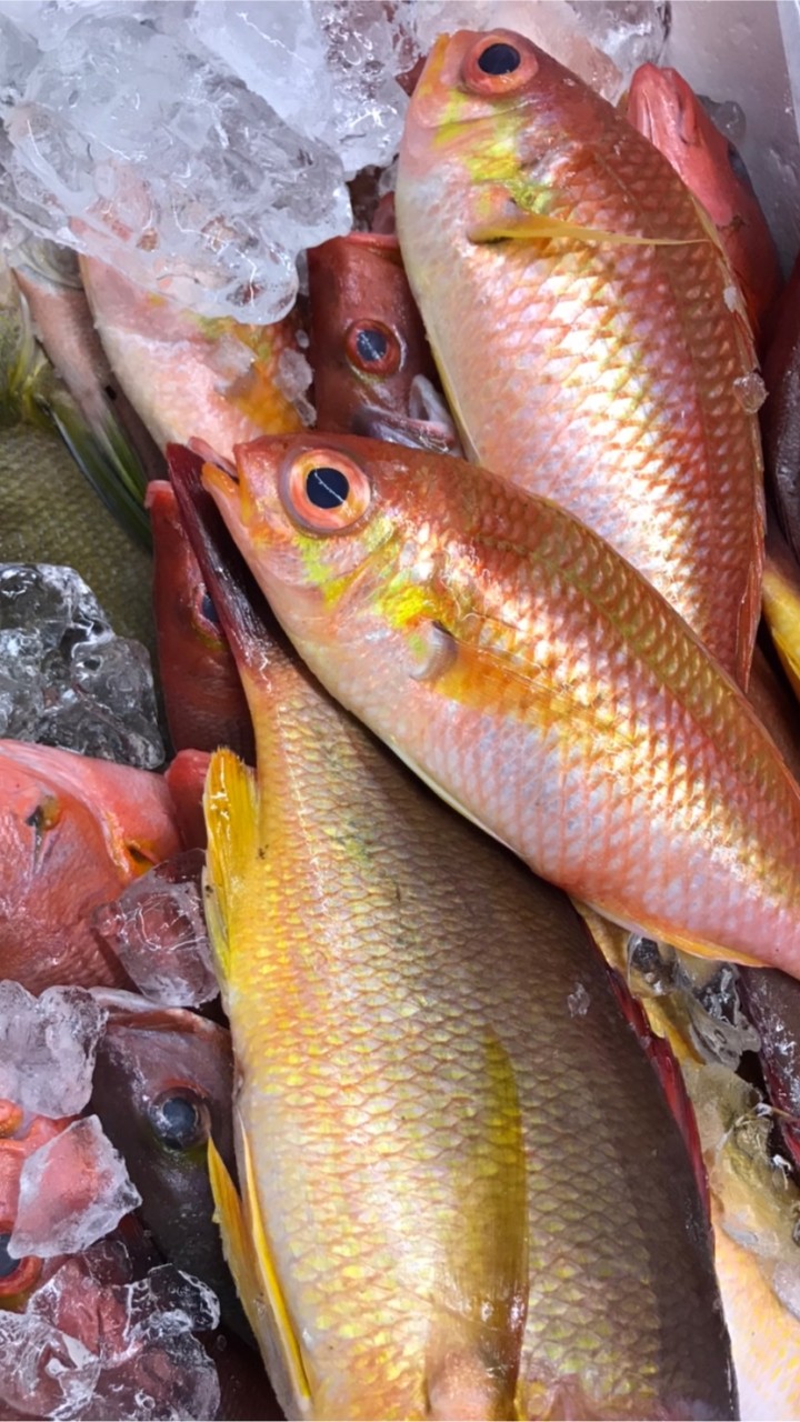 寶島鮮魚團（鮮魚.冷凍食材販售）