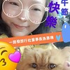 2026一路發銀髮身心障礙卡補助遊台灣~1200起，一天