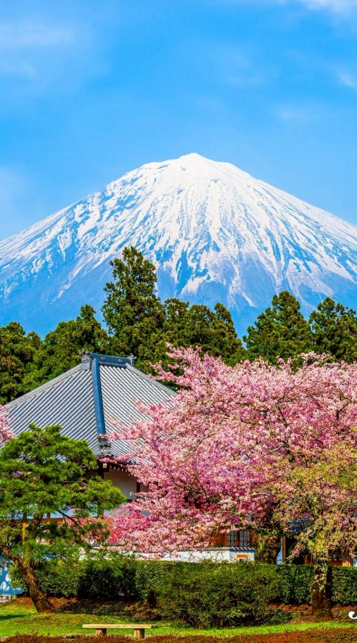 半月板損傷と変形性膝関節症のなかま